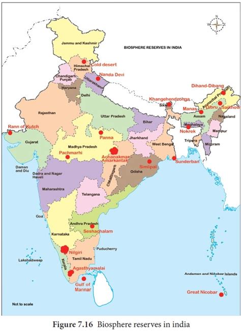 Conservation Of Biodiversity India Biosphere