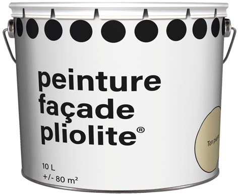 Peinture façade Pliolite Pro extérieure mat ton pierre 10 L Brico Dépôt