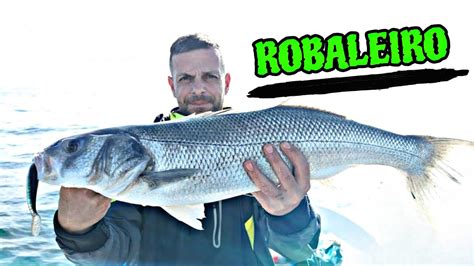 Pesca De Sargo Abadejo Pinto Lubinas Y Robalos En Rompiente YouTube