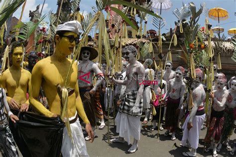 Tradisi Ngerebeg Di Bali ANTARA News