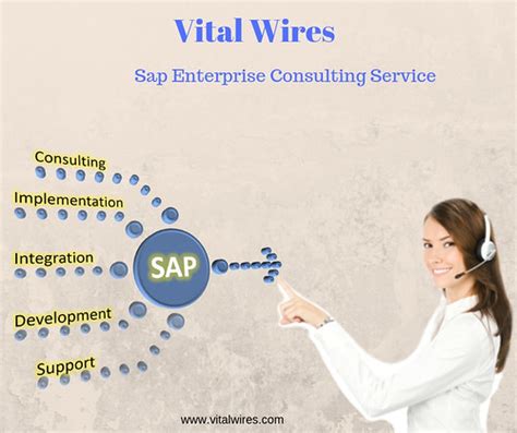 Vital Wires Sap Enterprises Consulting Service A SAP Cons Flickr