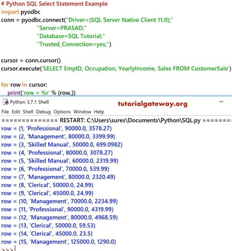 Python SQL Select Statement