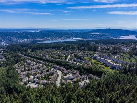 Premium Photo | Urban circle surrounded with trees