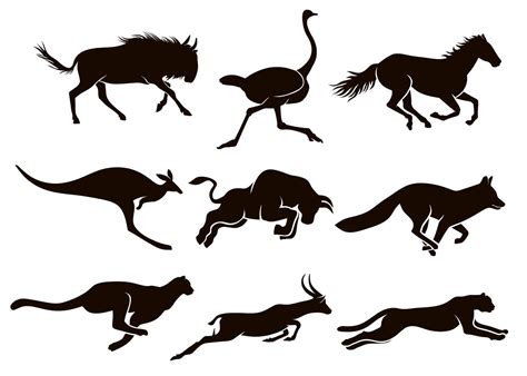 Collection of running animal silhouettes 935659 Vector Art at Vecteezy