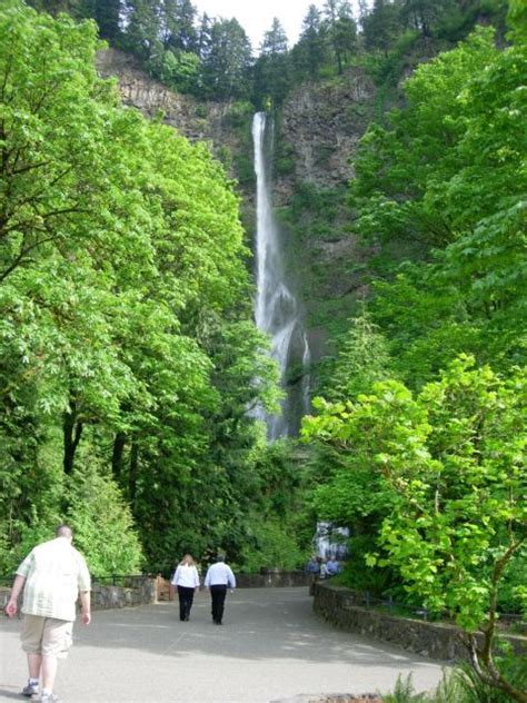 Portland Columbia River Gorge Waterfalls Morning Tour