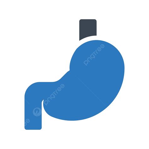 Gastroenterology Stomach Internal Medicine Vector Stomach Internal Medicine Png And Vector