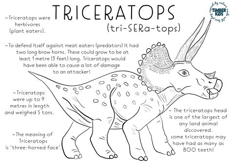 Triceratops Fact Colour In | Timber Kids – Timber Kids