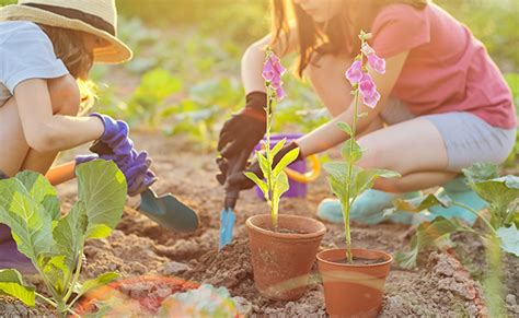 Initier Les Enfants Au Jardinage