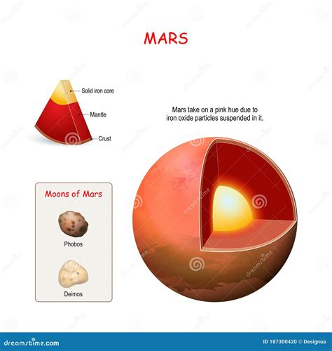 Mars Internal Structure Cross Section Of Planet Stock Vector