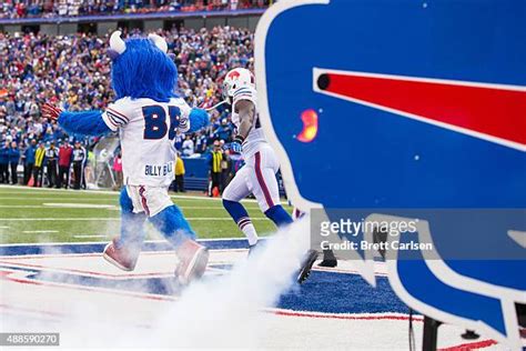 72 Billy Buffalo Mascot Stock Photos, High-Res Pictures, and Images ...