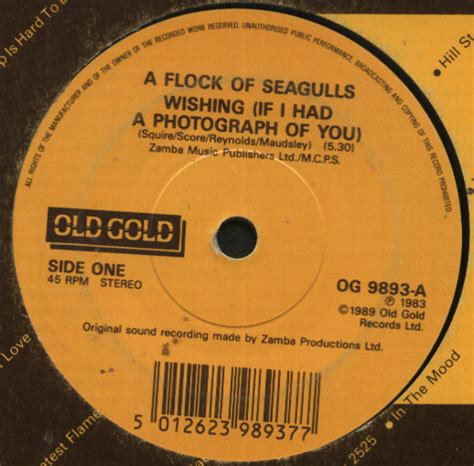 A Flock Of Seagulls Wishing Vinyl Records Lp Cd On Cdandlp