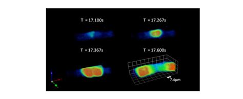 Oblique Plane Microscopy Opm Research Groups Imperial College London