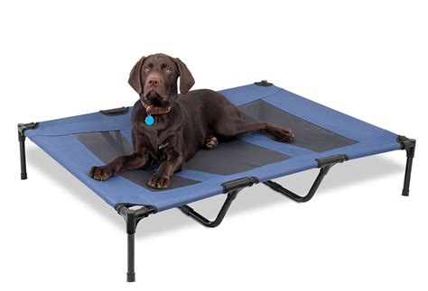 Internet's Best Dog Cot - 48 x 36 - Elevated Dog Bed - Cool Breathable ...