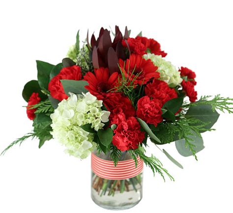 Canada Flowers | Peppermint Twist #CH104AA