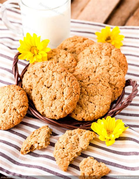 Top 15 Diabetic Oatmeal Cookies – Easy Recipes To Make at Home