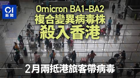 Omicron Ba1 Ba2複合變異病毒株殺入香港 兩荷蘭客2月帶病毒抵港