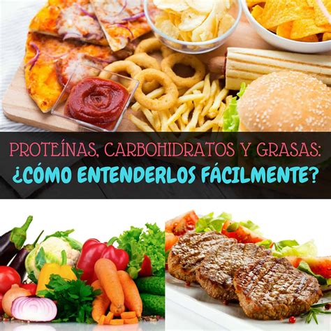 C Mo Entender F Cilmente Las Prote Nas Carbohidratos Y Grasas La