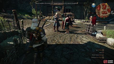 Racists Of Novigrad Novigrad Secondary Quests The Witcher Wild