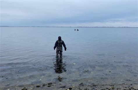 Kelp Farming Could Help Clean up Polluted Waters | Discover Magazine