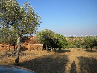 Farm T0 for sale in União das Freguesias de Escalos de Baixo e Mata