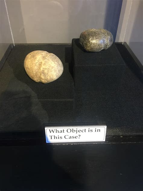 Mysterious Object In The Prehistoric Section Of A Local Museum R