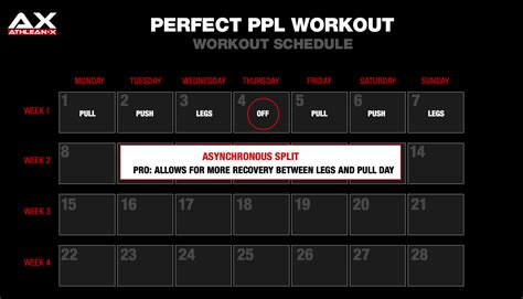 Perfect Push Workout Best Push Exercises Athlean X