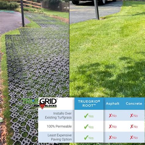 Truegrid Permeable Pavers On Linkedin One Year Later Truegrid Root Install In New Wales Pa