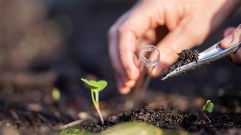 Free Soil Testing by State | Lifehacker