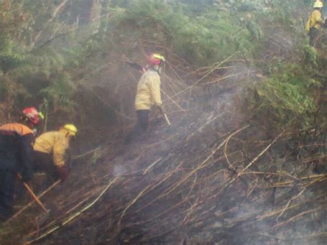 Protecci N Civil T Chira Se Han Registrado M S De Incendios De