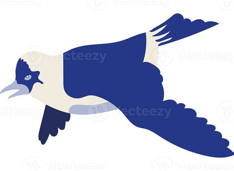 Blue Jay Clipart 49655870 Png