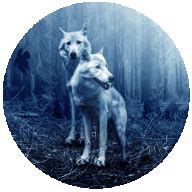 Thank You For Supporting The Lord of the Rings Online | The Lord of the ...