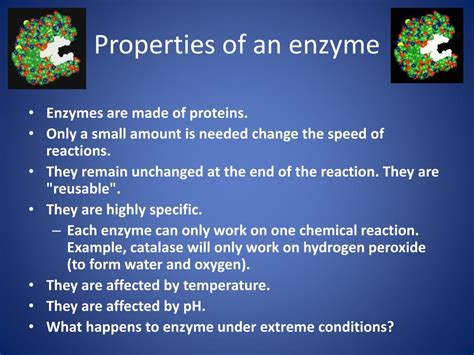 Ppt Introduction To Enzymes Powerpoint Presentation Free Download