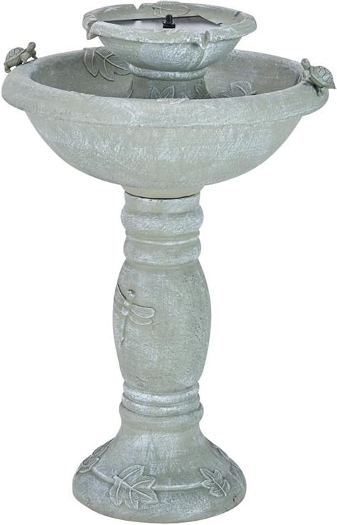 bird baths   essential  songbirds world birds