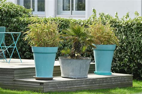 15 Best Plant Pots For Indoor And Outdoor Gardens 2024 Guide