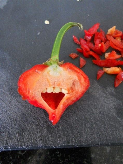 21 Food Pictures That Will Make You Say Oh Weird Stuffed Peppers