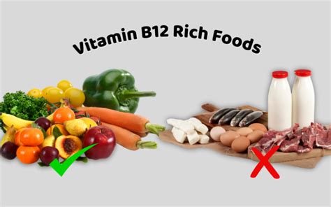 Great sources of Vitamin B12 Rich Foods you should know