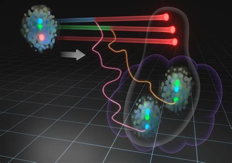 The Gluon Exchange Model Simplifies The Internal Structure Of Protons