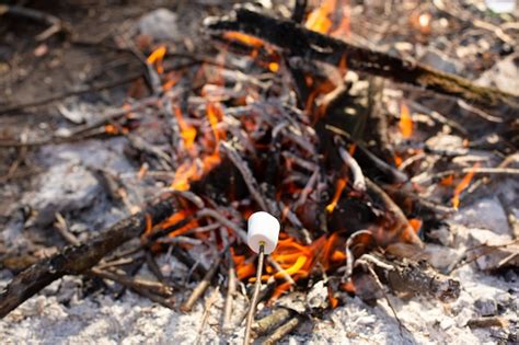 Premium Photo Camping Bonfire Frying Marshmallows At The Stake