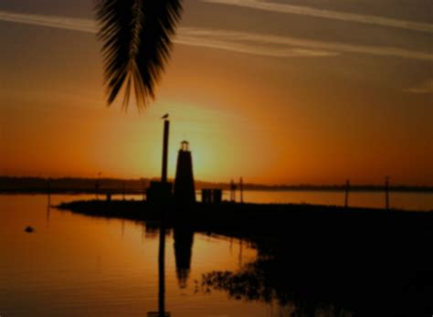 Florida Weather in February | Thomas Cook