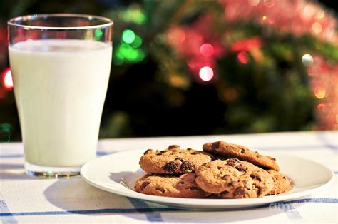 Milk and cookies for Santa Photograph by Elena Elisseeva