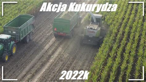 Kiszonka z kukurydzy 2022 Odwóz kukurydzy na pełenZbiór