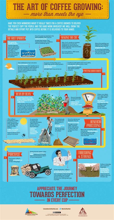 Coffee roasting process infographic – Artofit