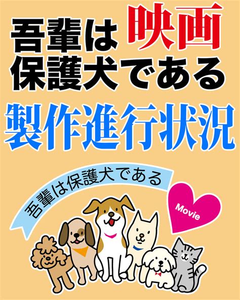 映画「吾輩は保護犬である」の制作の進行状況のご報告 日本全国を殺処分ゼロへ！皆で考える前向きな映画を作りたい！（保護わん一般社団法人 保護犬