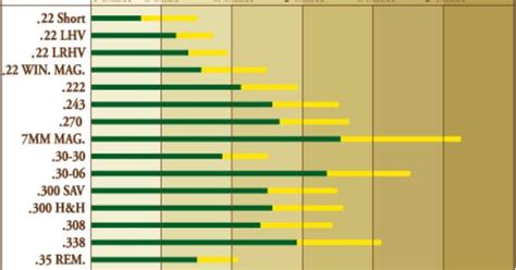 Rifle Caliber Size Comparison Chart