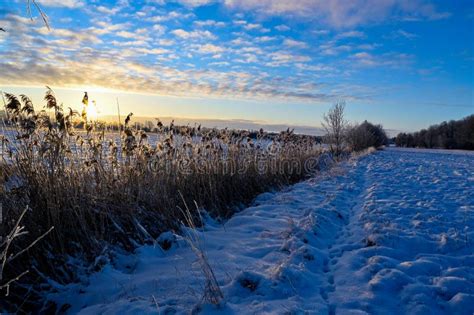 Snowy Fields With Road And Fence In Sweden Stock Image Image Of Dark