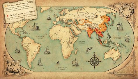 Tiger Map by woanling on DeviantArt