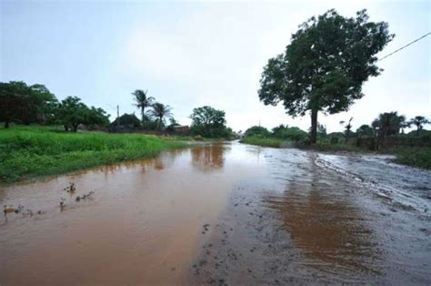 Chuva Alaga Ruas E Casas Derruba árvores E Causa Transtornos Na