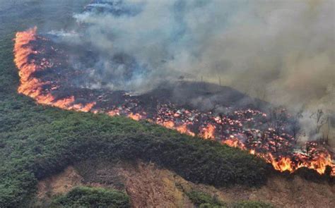 Incendios Forestales Arrasan Más De 300 Hectáreas En Bogotá José Cárdenas