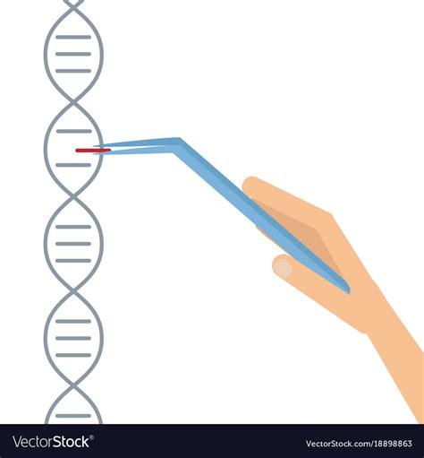 Dna Sequencing Genome Information Saving Vector Image