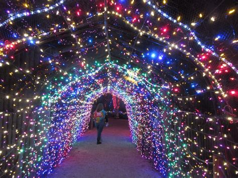 Almost Wordless Wednesday : Zoo Lights at Houston Zoo